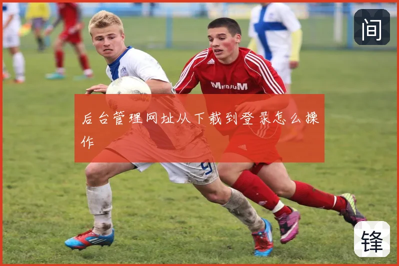 后台管理网址从下载到登录怎么操作
